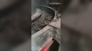 Машина для производства пеллет из биомассы в действии: стабильно высокая производительность
